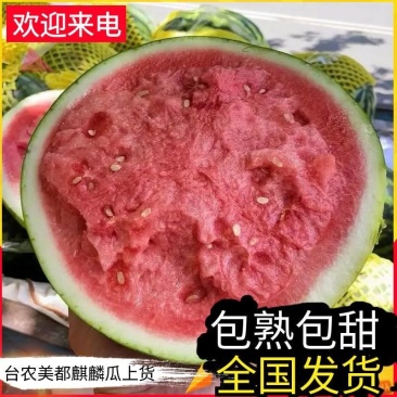 《台农美都麒麟瓜》甘肃西瓜/产地直供/包熟包甜/全国代发