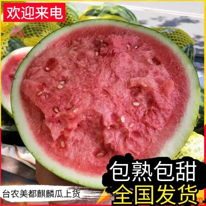 《台农美都麒麟瓜》甘肃西瓜/产地直供/包熟包甜/全国代发