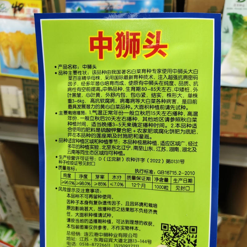 台苗中狮头黄心白菜种子高桩花心类型白菜种子优质高产抗病