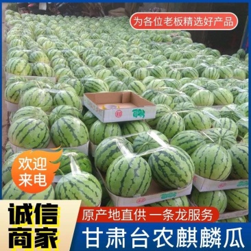 台农麒麟瓜&甘肃平凉基地直供/包熟包甜/全国发货一条龙