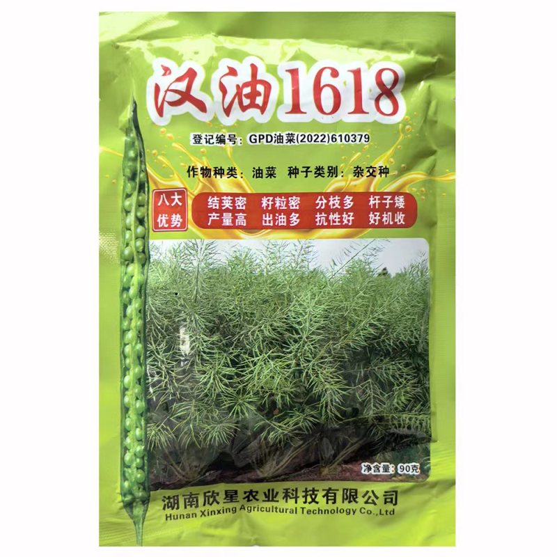 汉油1618油菜种子高产抗病矮杆抗倒出油多甘蓝型油菜籽种