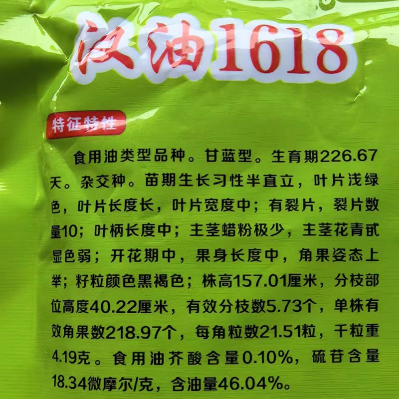 汉油1618油菜种子高产抗病矮杆抗倒出油多甘蓝型油菜籽种