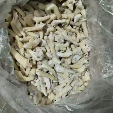 羊尾巴