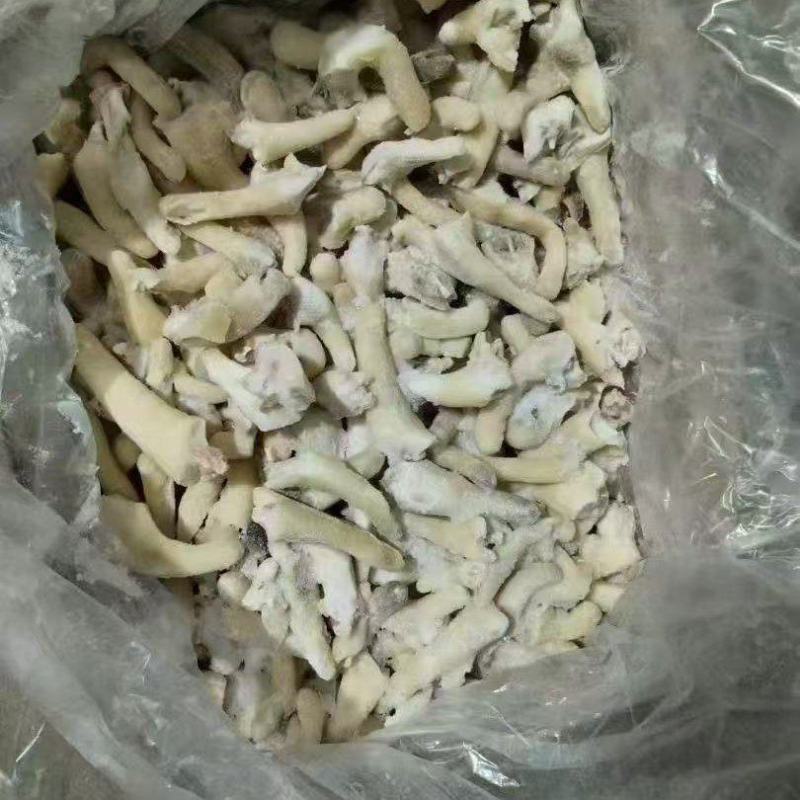 羊尾巴