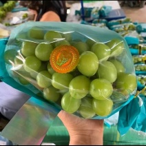 山东精品阳光玫瑰！皮薄多汁甜葡萄。货源充足稳定，质量优良