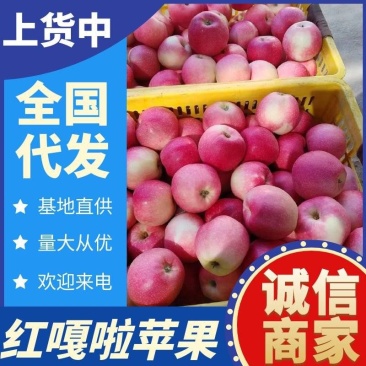 红嘎啦苹果/白水苹果大量上货/随到随装/规格齐全全国发货