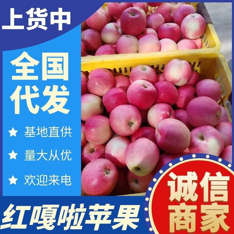 红嘎啦苹果/白水苹果大量上货/随到随装/规格齐全全国发货