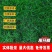 狗牙根种子厂家一手货源批发品质保证价格便宜欢迎下单咨询