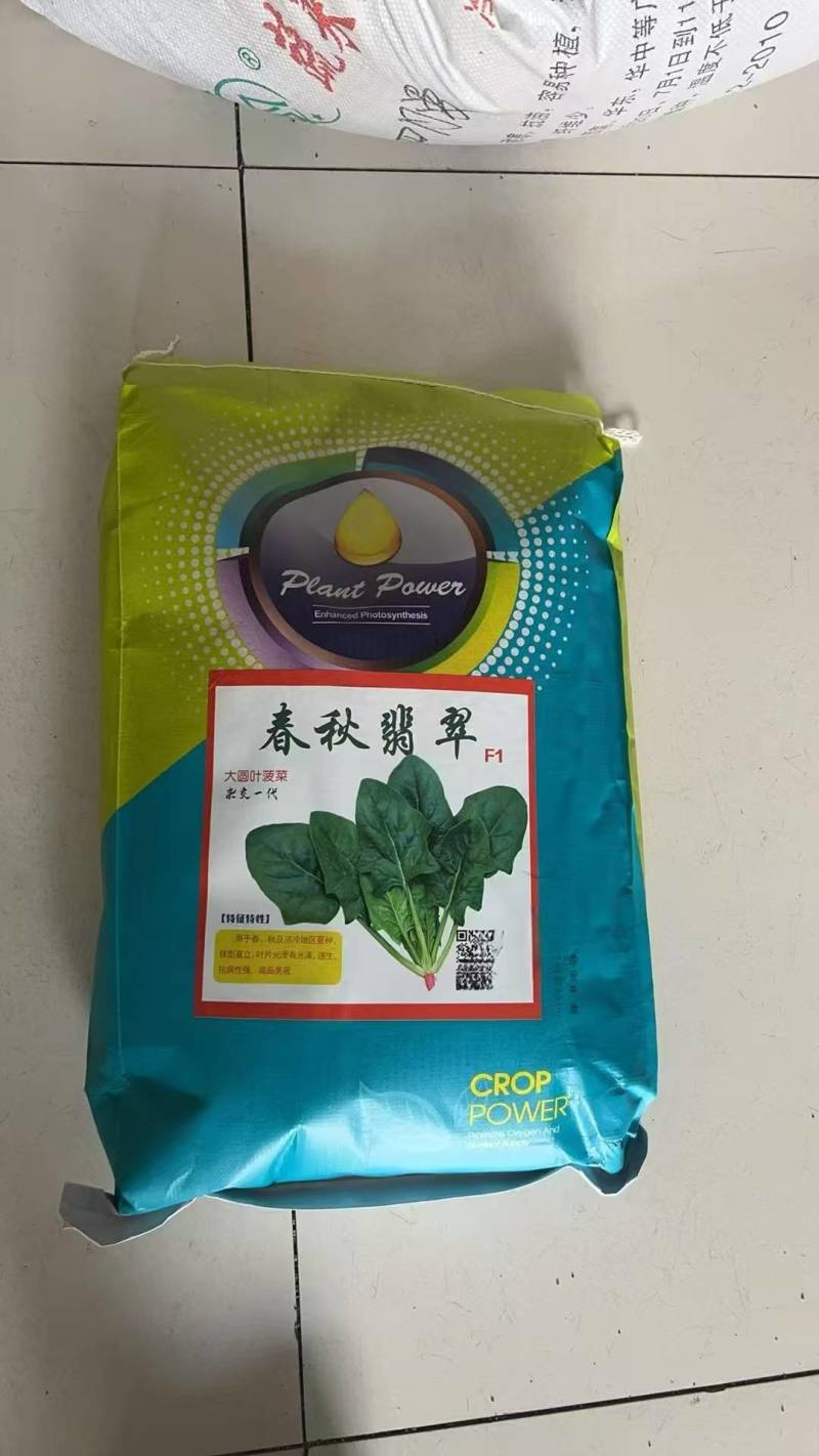 春秋翡翠菠菜种子10斤原装大圆叶菠菜种子速生直立