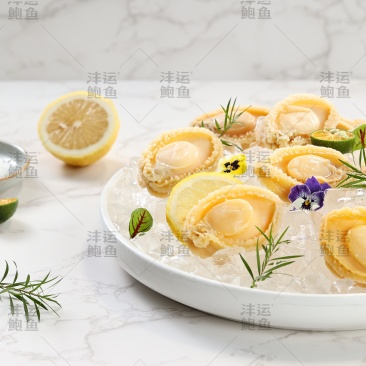 盐磨鲍鱼肉全规格都有货（请私信询价）