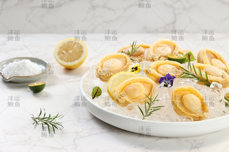 盐磨鲍鱼肉全规格都有货（请私信询价）