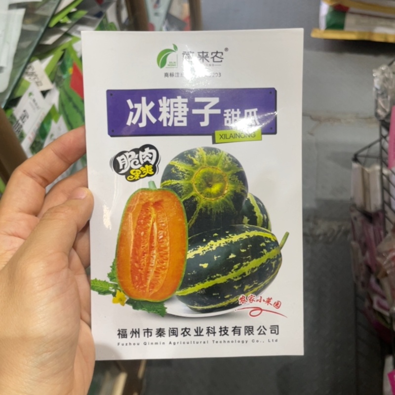 冰糖子甜掉牙甜瓜种子庭院阳台盆栽水果种子