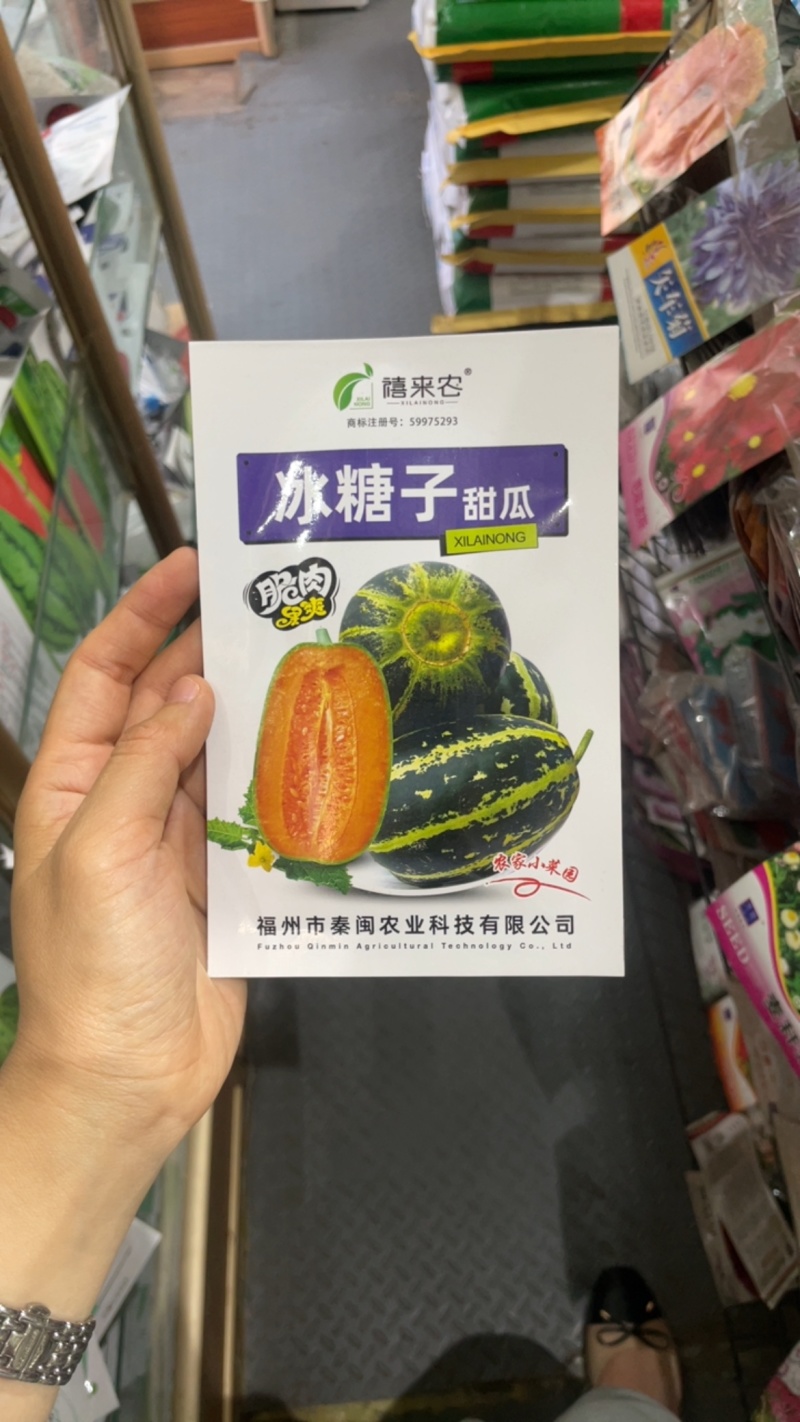 冰糖子甜掉牙甜瓜种子庭院阳台盆栽水果种子
