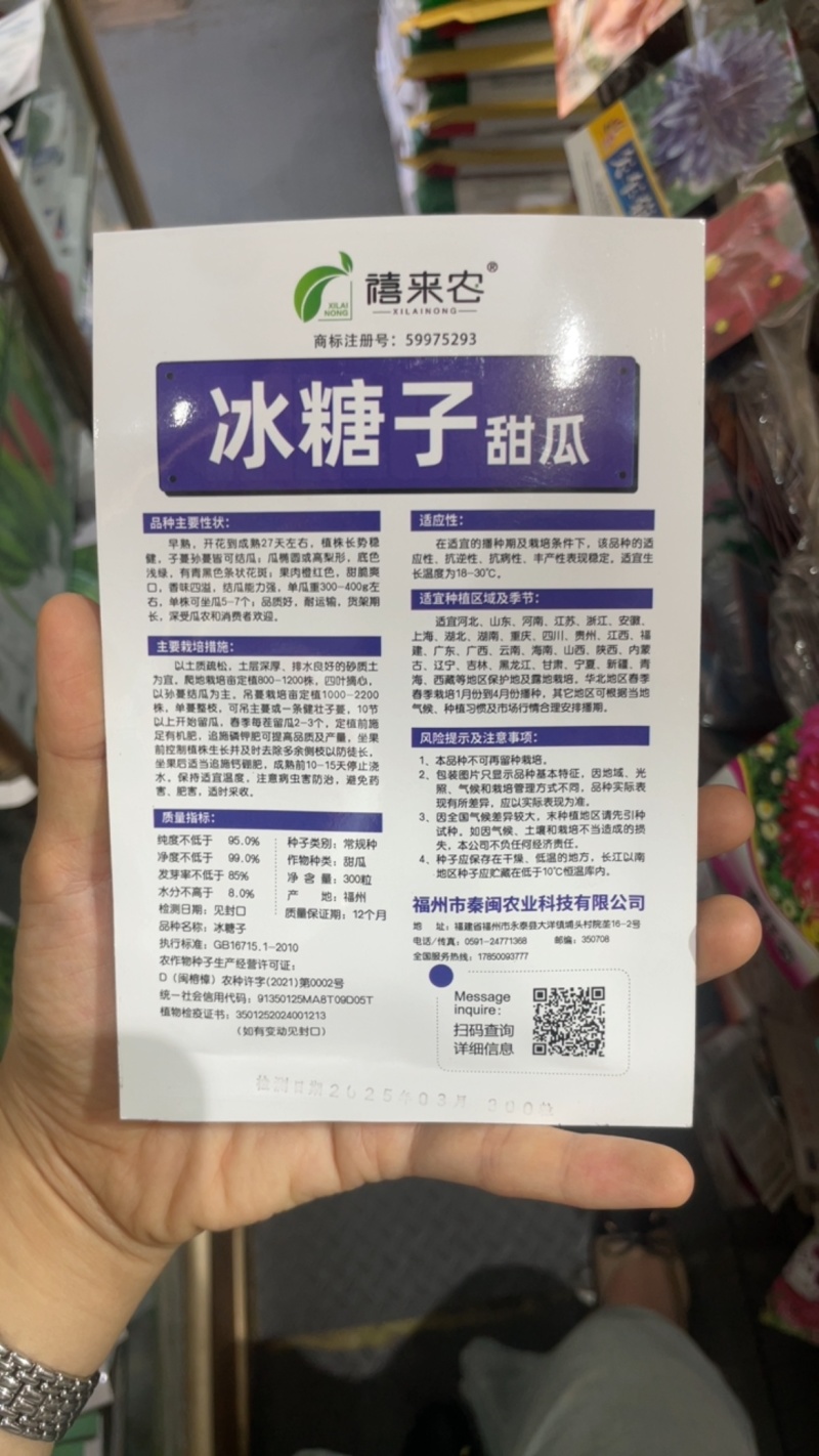 冰糖子甜掉牙甜瓜种子庭院阳台盆栽水果种子