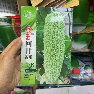 苦瓜种子金玉回甘苦瓜种子瓜皮淡绿色抗病性好春秋均可播种