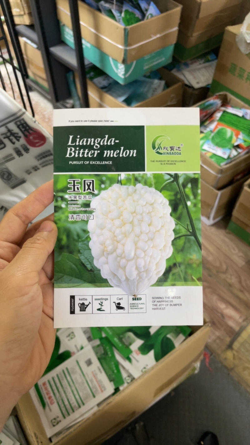 玉凤苹果苦瓜种子农家庭院阳台种植蔬菜种子