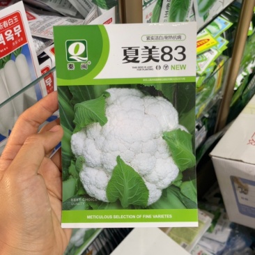夏美83紧花菜种子菜花种子花椰菜种子农家庭院阳台蔬菜种子