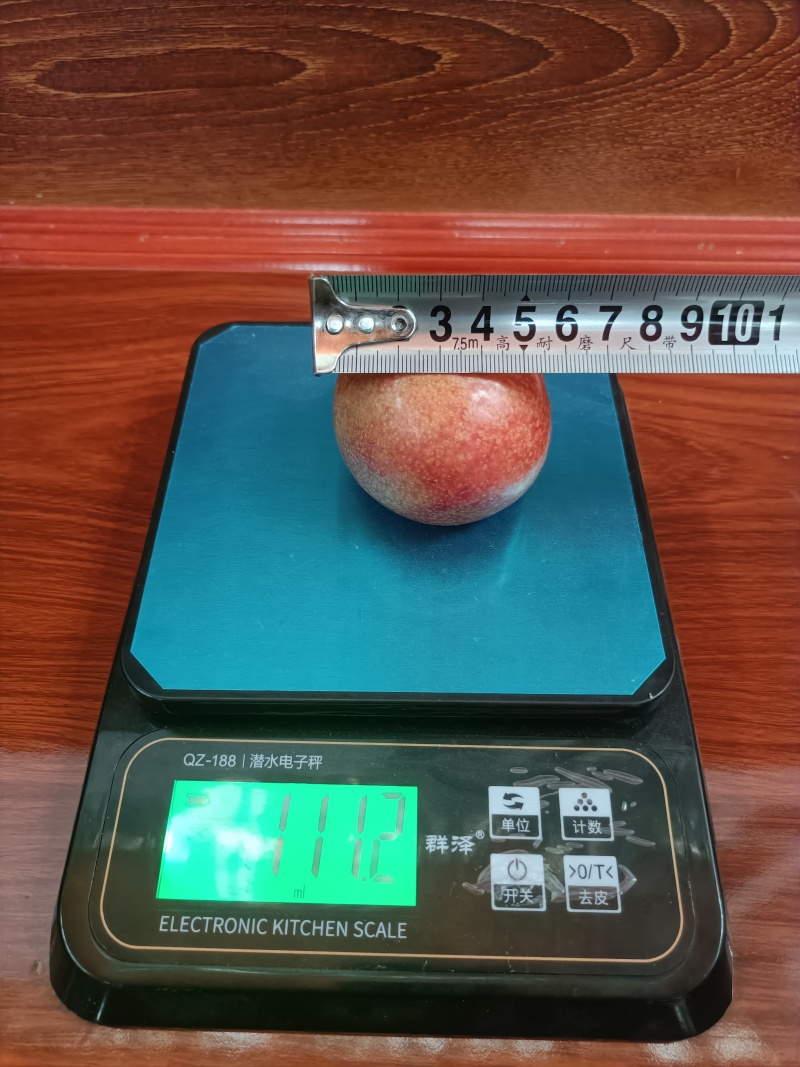 新疆克州恐龙蛋，李子，地头鲜果