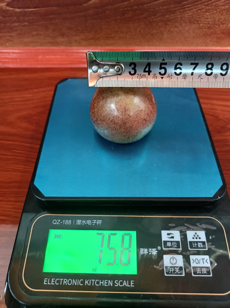 新疆克州恐龙蛋，李子，地头鲜果