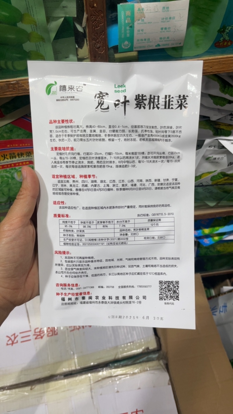 独根红紫根韭菜种子韭菜种子细叶韭菜籽阳台庭院易种种子