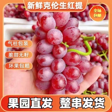 《克伦生葡萄》无籽红提葡萄/电商直播/市场批发/全国发货