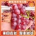 《克伦生葡萄》无籽红提葡萄/电商直播/市场批发/全国发货