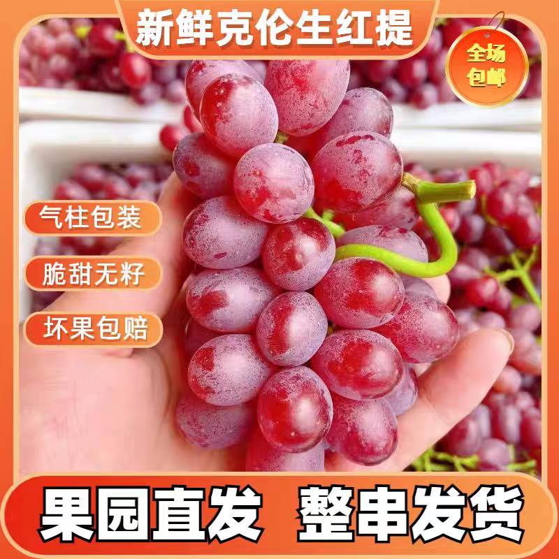 《克伦生葡萄》无籽红提葡萄/电商直播/市场批发/全国发货
