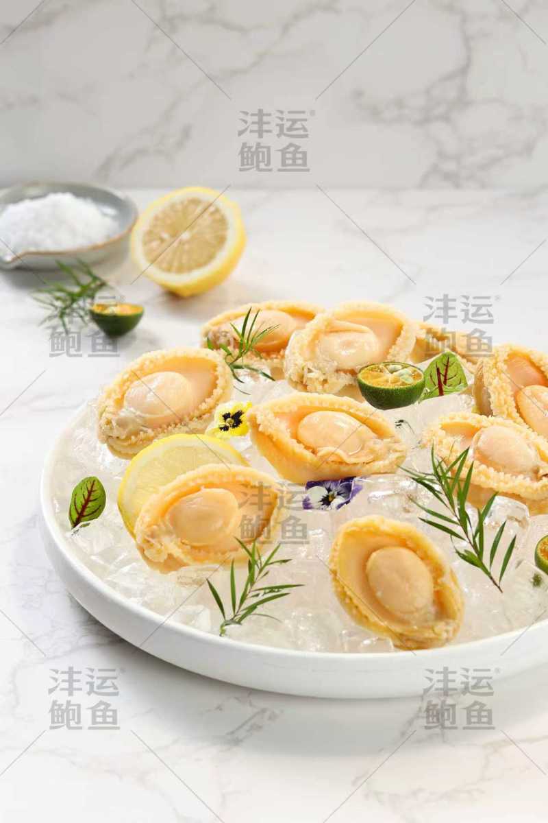 盐磨鲍鱼肉全规格都有货（请私信询价）