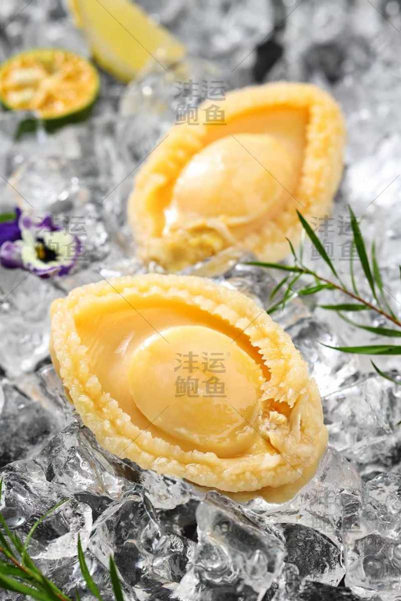 盐磨鲍鱼肉全规格都有货（请私信询价）