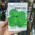 香糯青优苋菜种子卵圆形质嫩耐热耐寒南北方均可种植