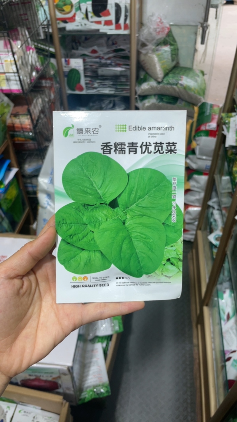 香糯青优苋菜种子卵圆形质嫩耐热耐寒南北方均可种植