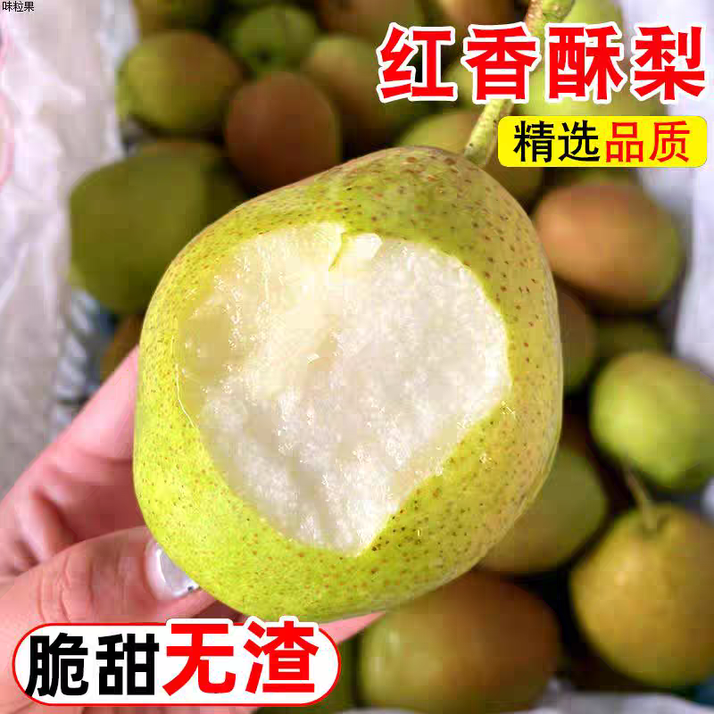《红香酥梨》渭南香梨/产地货源/电商供应/全国代办代发