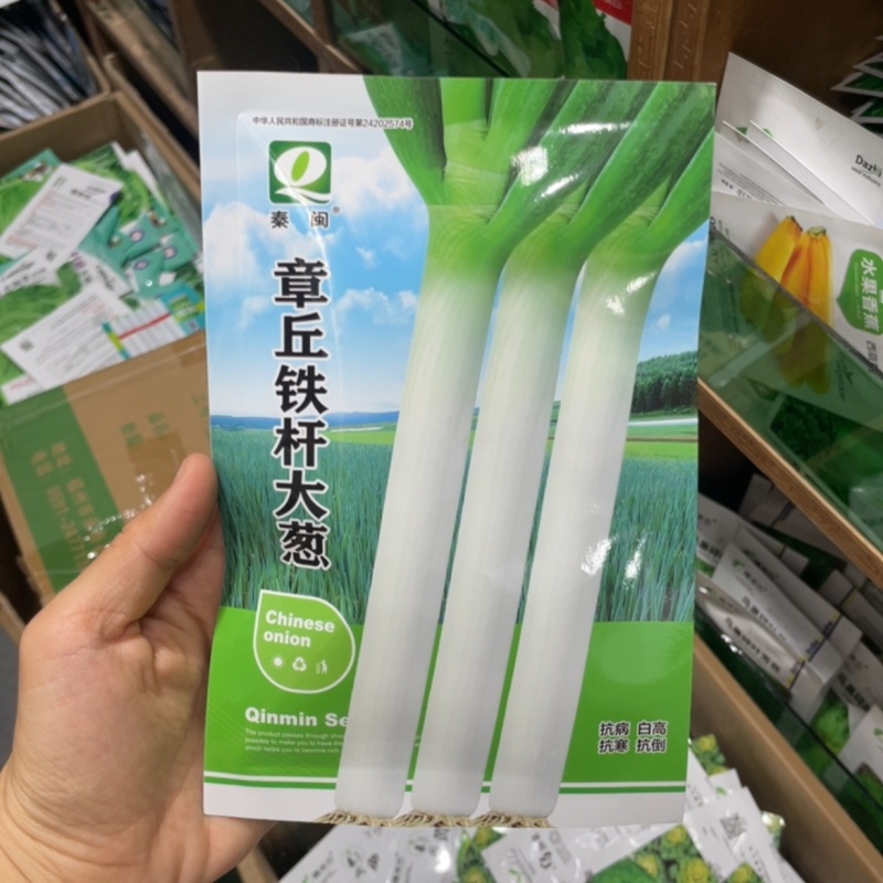 章丘铁杆大葱40克大葱种子耐热抗寒农家庭院种植蔬菜种子