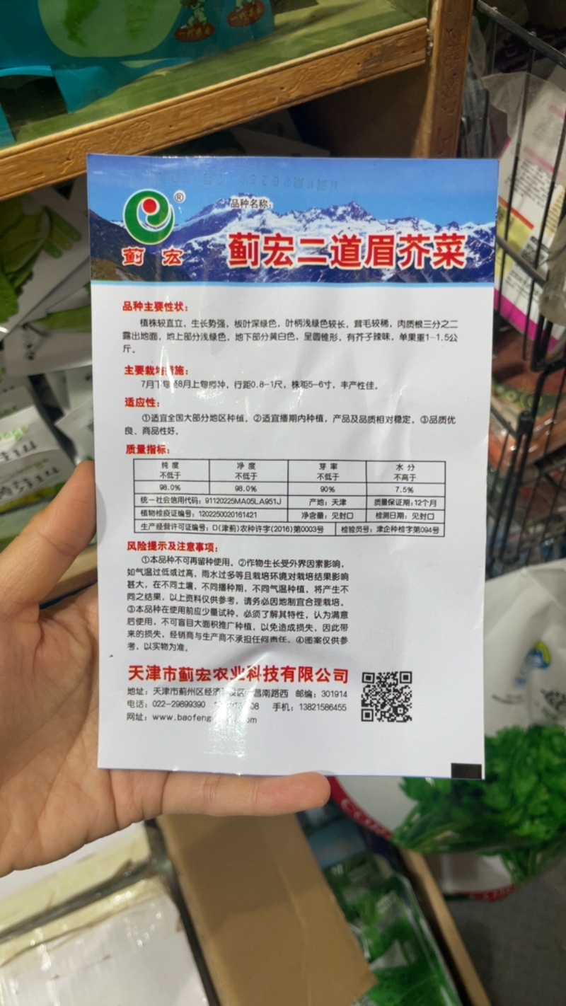 二道眉芥菜种子芥疙瘩种子大头菜秋播农家庭院用种