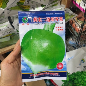 二道眉芥菜种子芥疙瘩种子大头菜秋播农家庭院用种