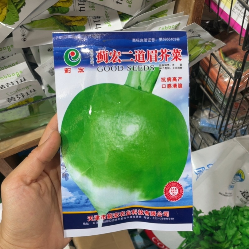 二道眉芥菜种子芥疙瘩种子大头菜秋播农家庭院用种