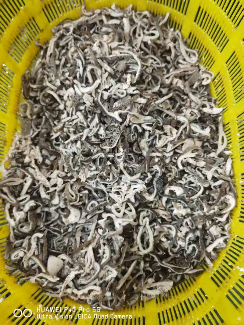 【羊杂】当地绵羊的原味、水煮无碱***！长年有货