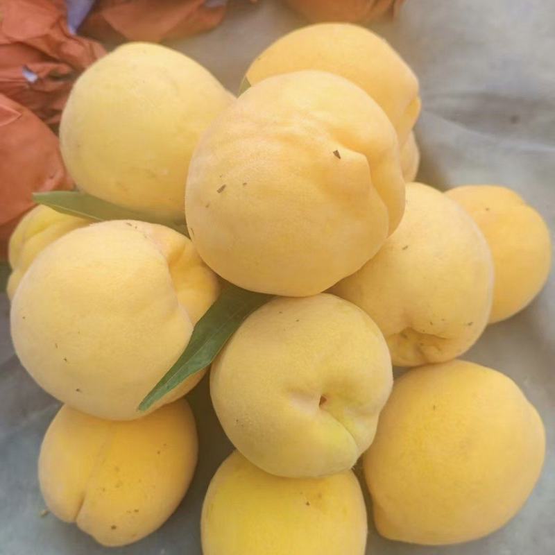 蜜黄桃