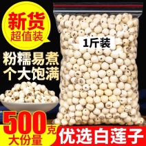 莲子湖南特产湘潭白莲子干货去芯无硫莲米500g去芯无芯