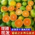 《江西蜜橘》赣州蜜橘/寻乌县蜜橘/皮薄多汁/价格便宜欢迎