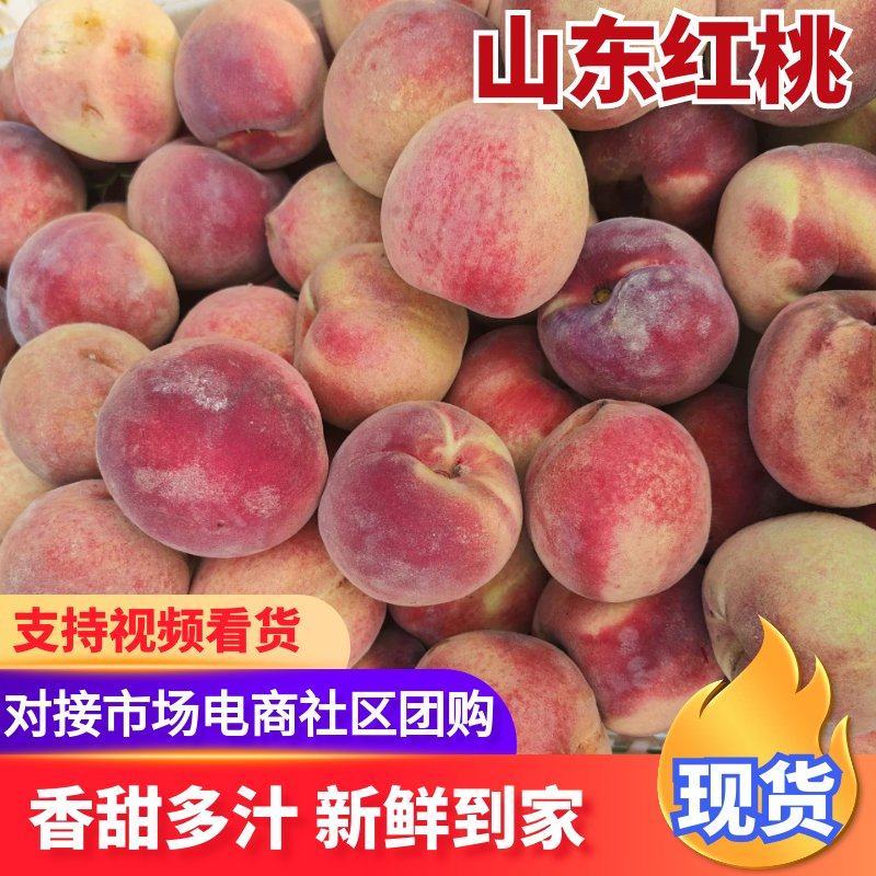 精品山东红桃，秋彤，秋月，迎秋红蜜，映霜红，全国代发毛桃
