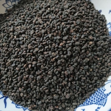 补骨脂破故纸一斤起批批发各种中药材量大优惠