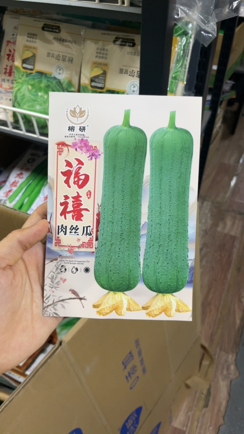 福禧肉丝瓜种子瓜皮青绿色肉质清香耐热早熟硬度好