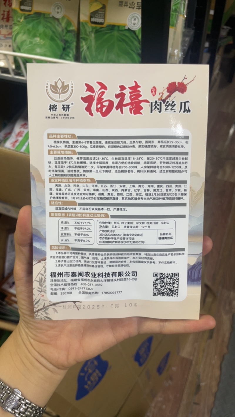福禧肉丝瓜种子瓜皮青绿色肉质清香耐热早熟硬度好