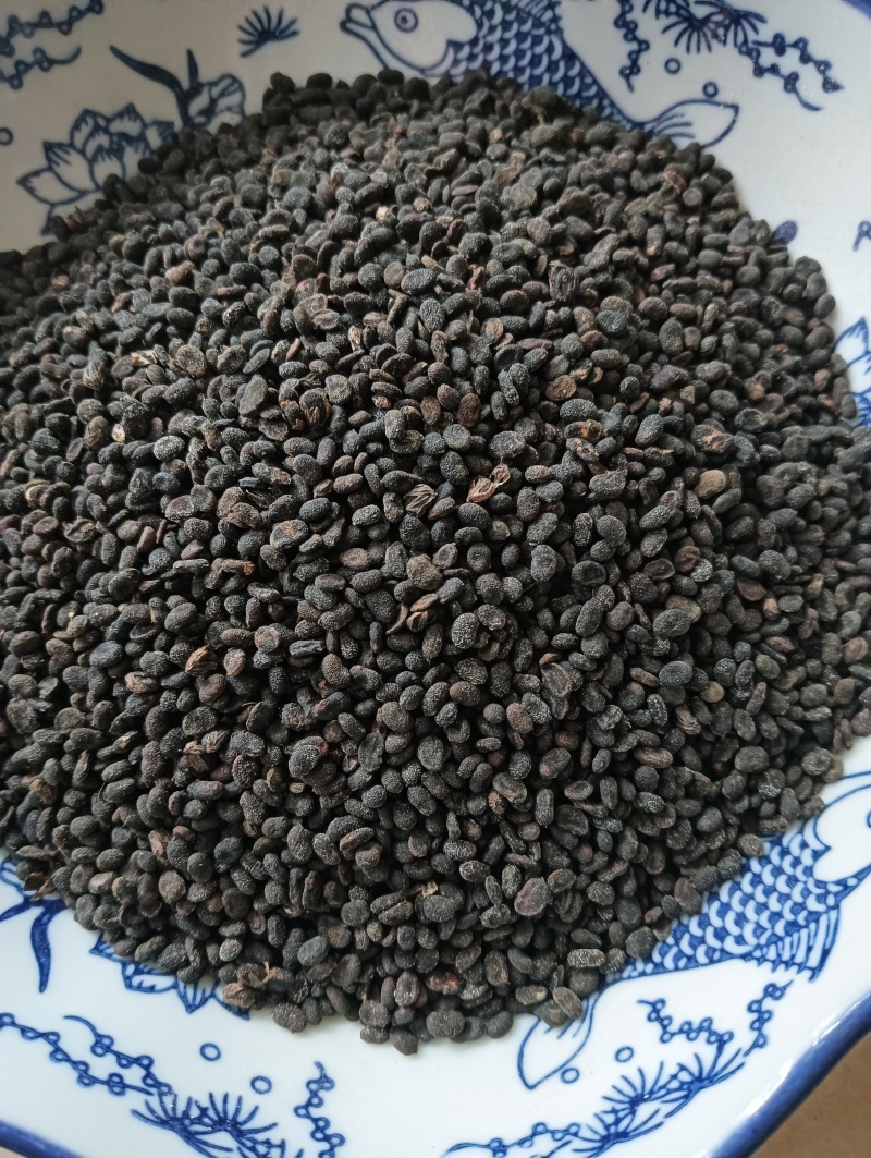 补骨脂破故纸一斤起批批发各种中药材量大优惠