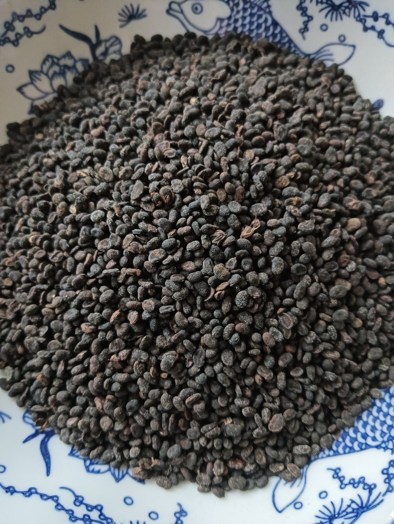 补骨脂破故纸一斤起批批发各种中药材量大优惠