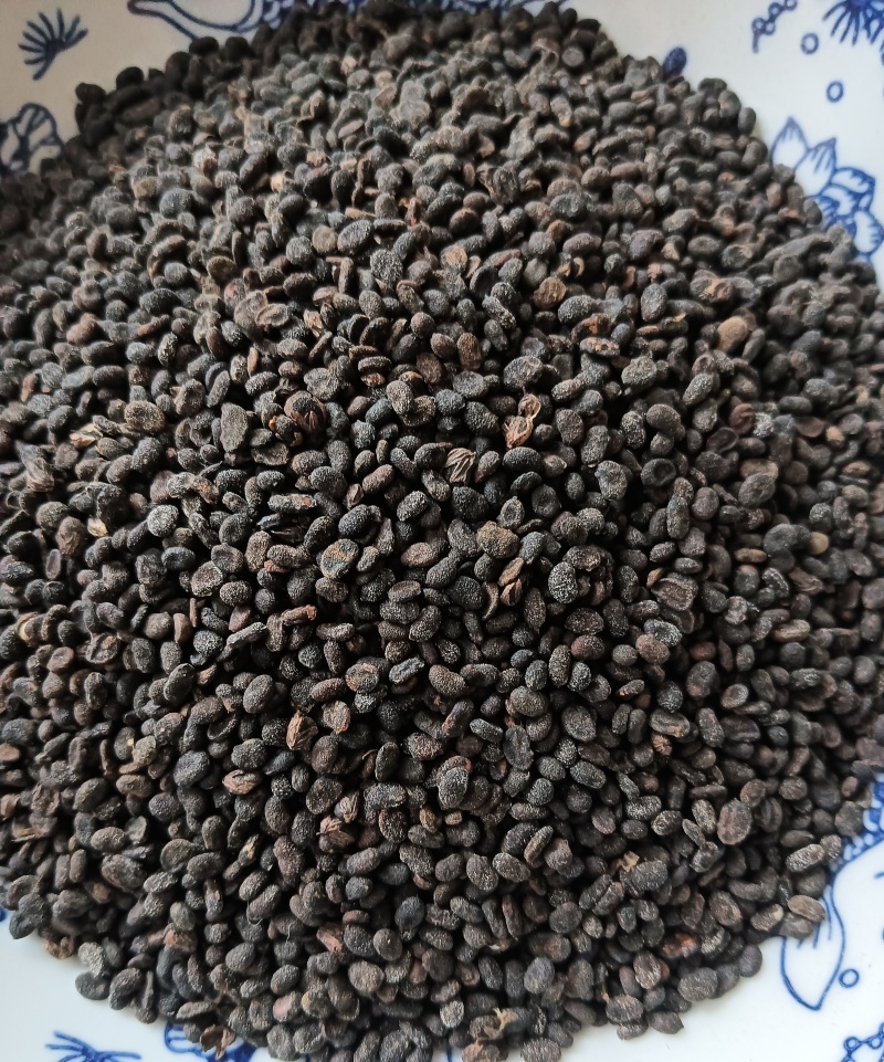 补骨脂破故纸一斤起批批发各种中药材量大优惠