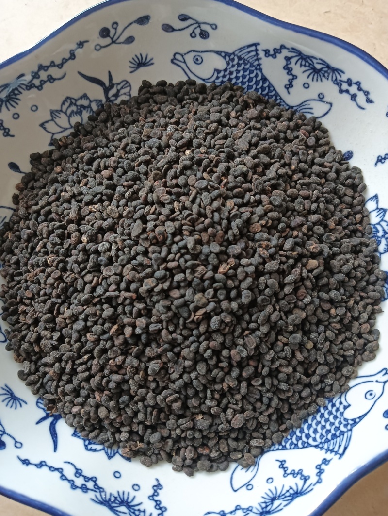 补骨脂破故纸一斤起批批发各种中药材量大优惠