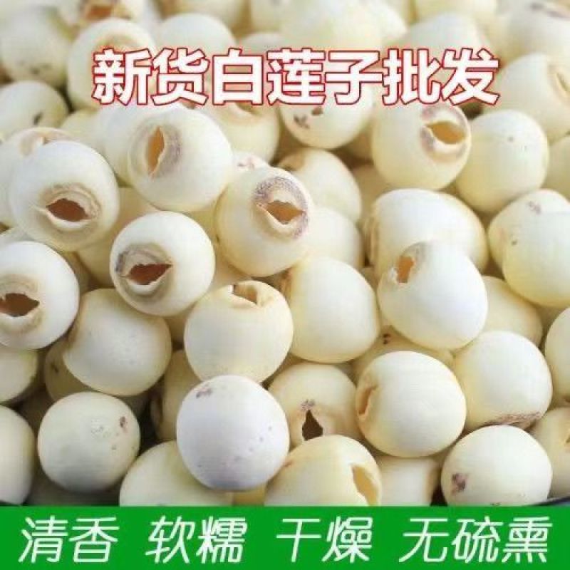 莲子干货新货湘潭去芯白莲子带心无心磨皮白连子粉糯包邮湘莲