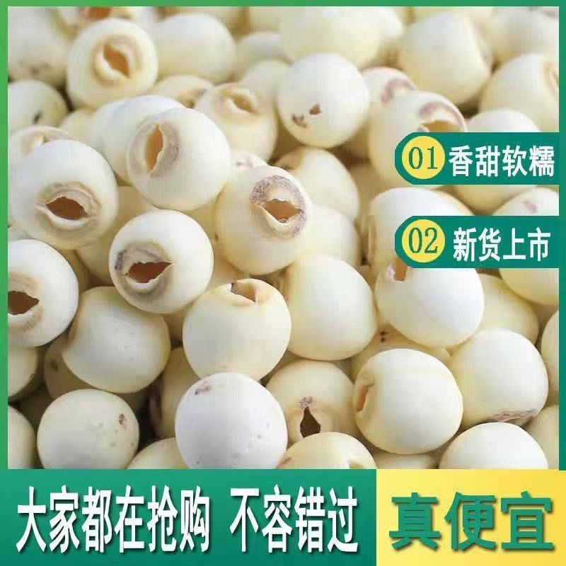 莲子干货新货湘潭去芯白莲子带心无心磨皮白连子粉糯包邮湘莲